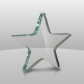 634 Acrylic Star Paperweight
